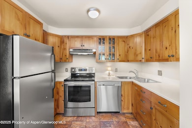 125 E Hyman Ave unit 1, Aspen, CO 81611 - photo 5