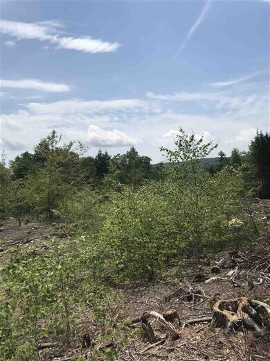 Map 11 Lot 64-1&2 & Lot 66 Roller Coaster Rd, Strafford, NH 03884 - photo 3