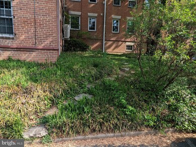 2716 Ordway St NW unit 1, Washington, DC 20008 - photo 2