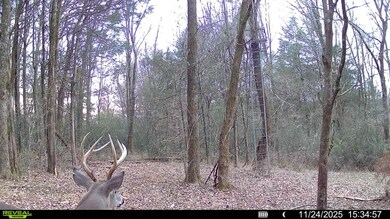 2 Tallent Rd, Pulaski, TN 38478 - photo 5