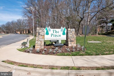 The Pines of Leisure World, Silver Spring, MD 20906 - photo 4