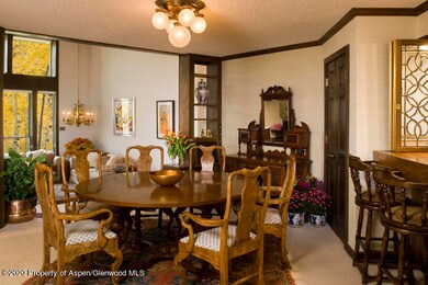 1441 Crystal Lake Rd unit 2, Aspen, CO 81611 - photo 7