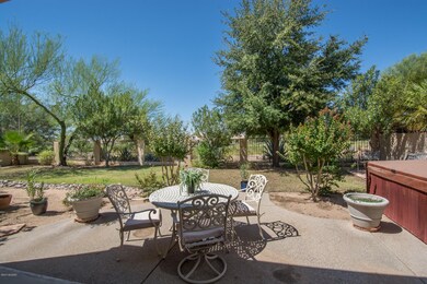 Backyard view