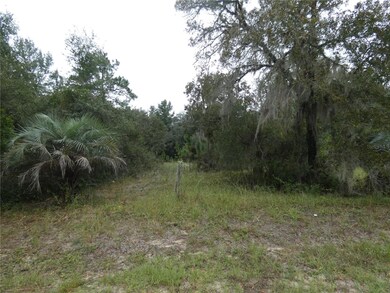 LOT 7 Neptune Blvd, Dunnellon, FL 34431 - photo 4