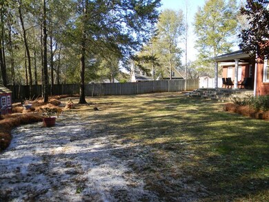 Big backyard