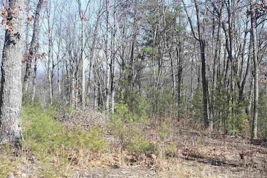 Appleview Way unit Newport TN 37821, Newport, TN 37713 - photo 4