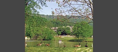 Signal View pond
