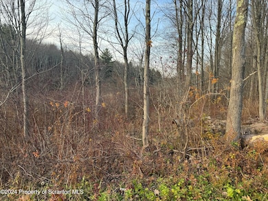 0 Shust Rd unit GSBSC5708, Greenfield Township, PA 18407 - photo 4