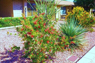 2151 S Orange, Mesa, AZ 85210 - photo 5