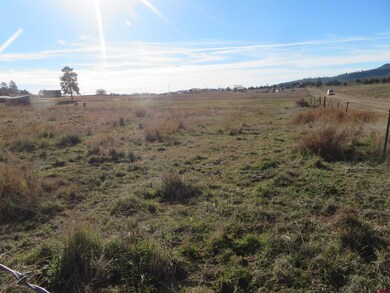 4086 County Road 700, Pagosa Springs, CO 81147 - photo 6