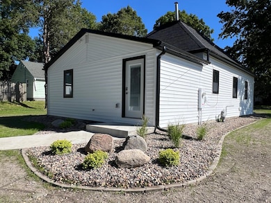 104 6th Ave E, Ellendale, MN 56026 - photo 5