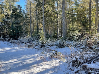 0 Juniper Ledge Rd unit 1646699, Bar Harbor, ME 04609 - photo 5