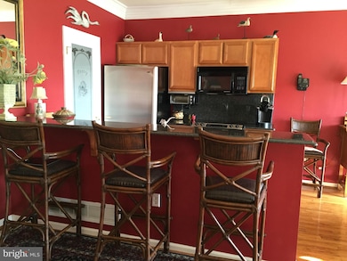 313 Red Head Way unit B, Havre de Grace, MD 21078 - photo 5