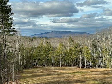 103 Temple Rd, Sharon, NH 03458 - photo 6