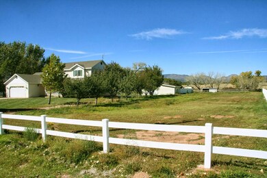 side yard