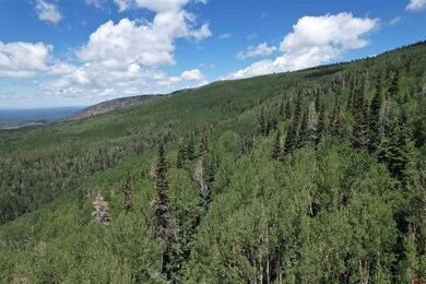 TBD Forest Service Road 567, Mancos, CO 81328 - photo 6
