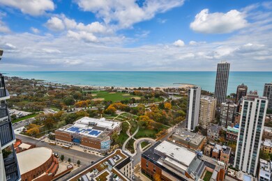 The James House unit 4104J, Chicago, IL 60610 - photo 5