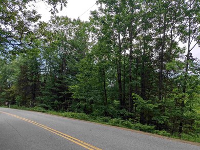 0 N Line Rd unit 4872232, Wolfeboro, NH 03894 - photo 3