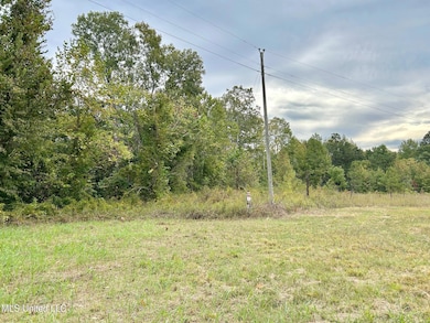 5317 Highway 3, Sarah, MS 38665 - photo 2