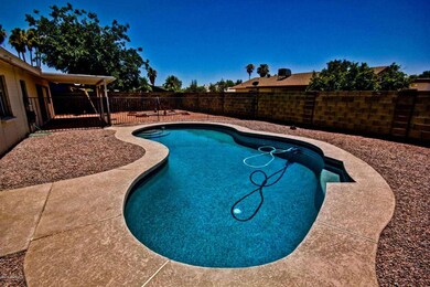 Pool with Sunning/Safety Ledge