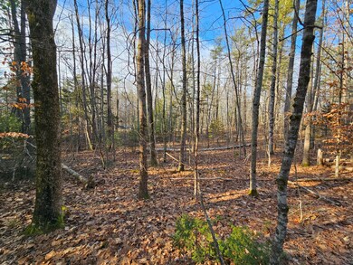 10-29.1 River Rd, Dresden, ME 04342 - photo 4