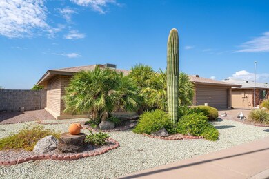 26-web-or-mls-DSC03370