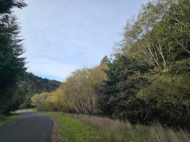 00 & 000 Wolverine Way, Whitethorn, CA 95589 - photo 2