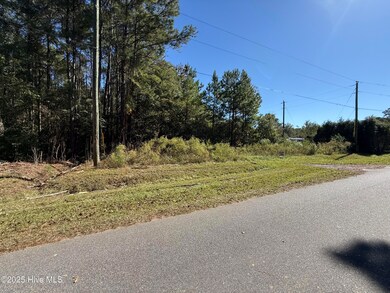 TBD Tharpe Rd, Little River, SC 29566 - photo 2