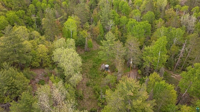 1777 Grant McMahan Blvd, Ely, MN 55731 - photo 4