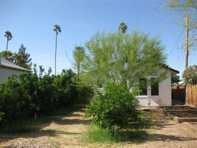 Back yard