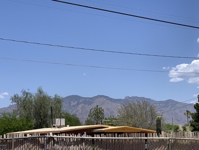 Catalinas