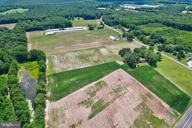 31767 E Line Rd, Delmar, MD 21875 - photo 6