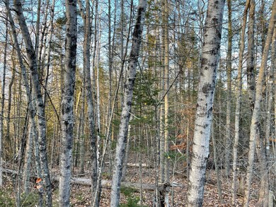 00 Arno Rd, Dexter, ME 04930 - photo 6