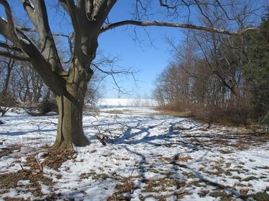 LAKE VIEW FROM BACK OF HOME