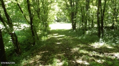 0 Brimstone Creek Rd unit 1295468, Moss, TN 38575 - photo 6