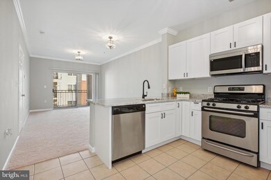 Bryson At Woodland Park unit 306, Herndon, VA 20171 - photo 2