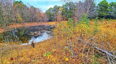 000 Elba Rd, Clinton, AR 72031 - photo 3