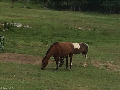 4933 Pisgah Covered Bridge Rd, Asheboro, NC 27205 - photo 6