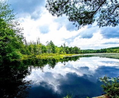 Water view