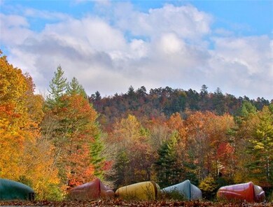 Autumn in Sherwood Forest