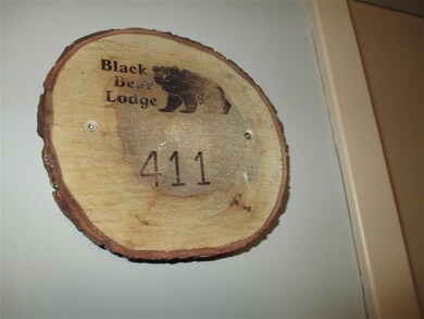 23 Black Bear Way unit 411, Waterville Valley, NH 03215 - photo 4