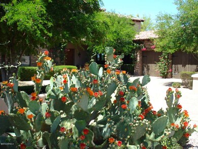 Desert beauty in bloom