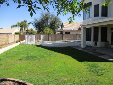 1780 W Canary Way Rear Yard 1