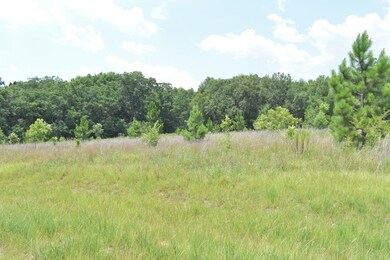 LOT 42 Willow Oak Ln, Garfield, GA 30420 - photo 5