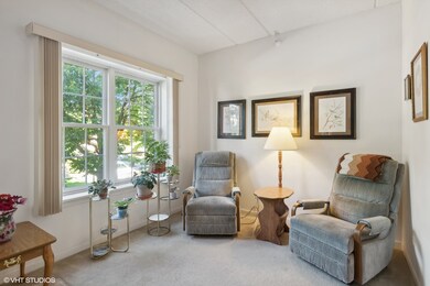 111 N Larch Ave unit 208, Elmhurst, IL 60126 - photo 5