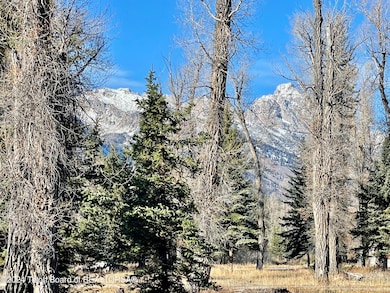 250 E Phelps Canyon Rd, Jackson, WY 83001 - photo 4