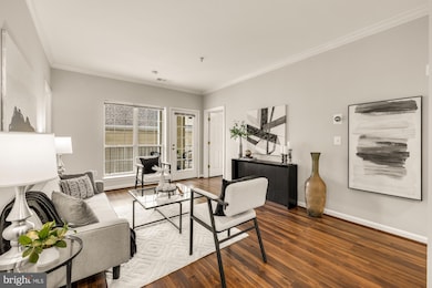 4560 Strutfield Ln unit 1203, Alexandria, VA 22311 - photo 5