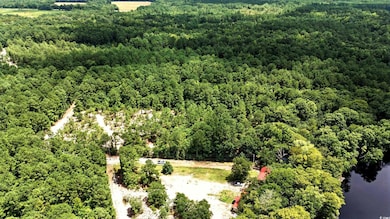 TBD Vance Ln, Nichols, SC 29581 - photo 4