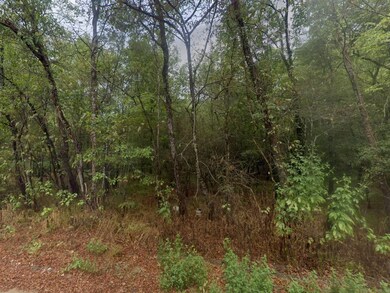 Private Road 4422, Dayton, TX 77535 - photo 4