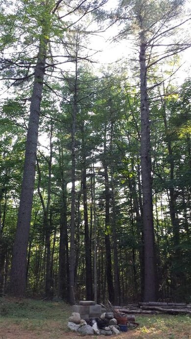 840 Kinsman Rd, Grafton, NH 03240 - photo 2